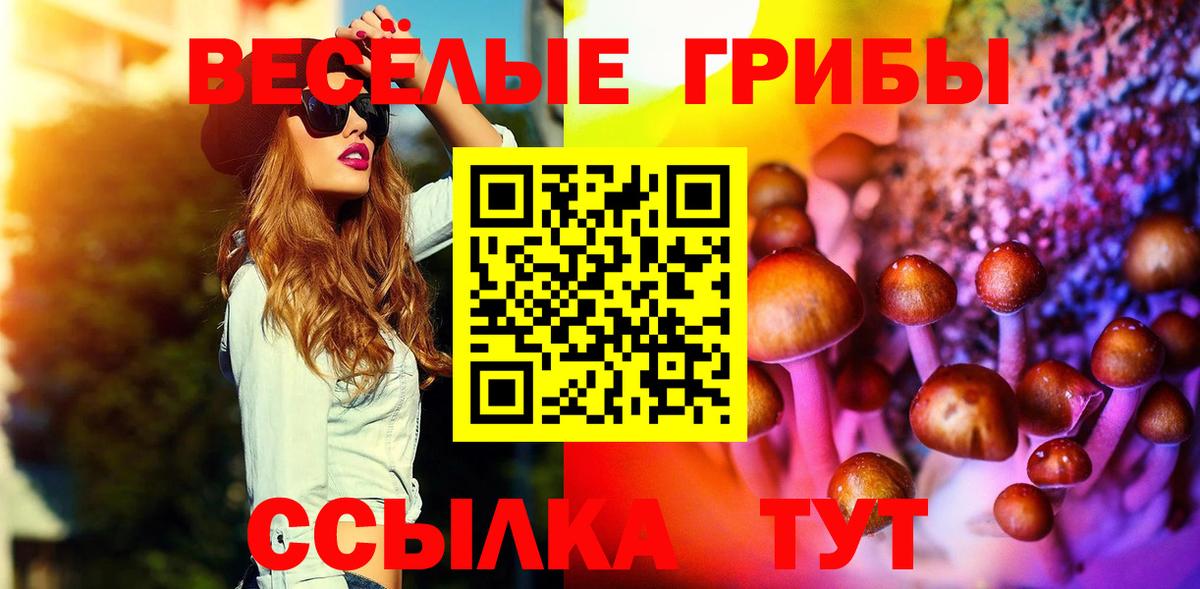 Псилоцибиновые грибы Cubensis  Вход с VPN  Бердск 